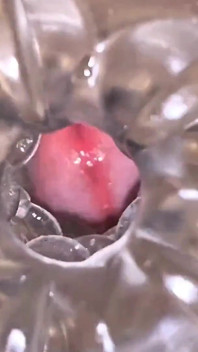 Close-up Cock in Tool for Masturbate Orgasm on Flash