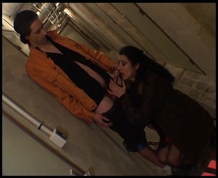 HPG Production: おしゃれなクーガーが2人の男を二階でお茶に招待