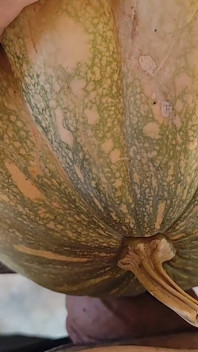 Hungry Dick Among Pumpkins for Halloween.