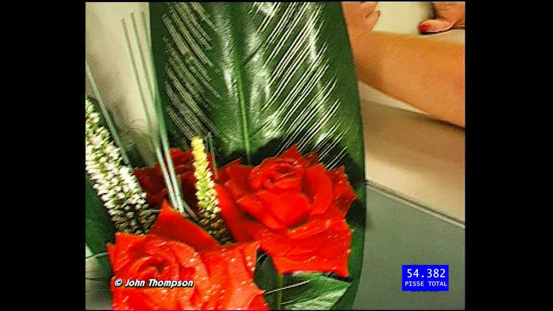 GGG John Thompson: John Thompson: Total Kencing