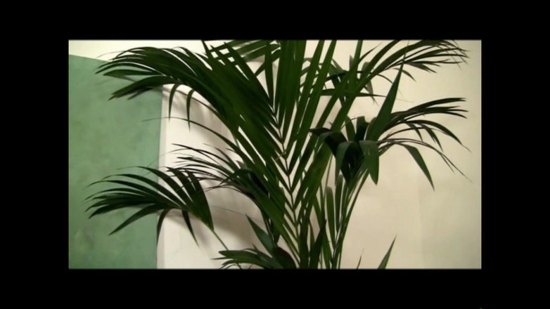 FM Video VOD: Roberta Gemma in: de Leraar 