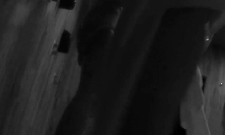 AmateurBoysPissing: Сором'язливий пасинок злиться з вітчимом у громадському душі в тренажерному залі