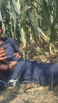 Asian Black Boy Big Cock Cumshot HD