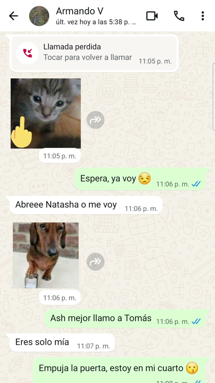 Natasha Caseros: Eu tive um chat quente do aplicativo whats com meu...