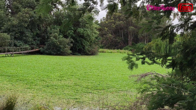 Riderqueen: Fodendo com o jovem, com um pau grande, vídeos para...
