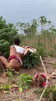 Increíble escena al aire libre