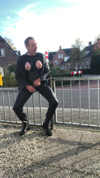 Horny Sitting on a Fence Along the Road