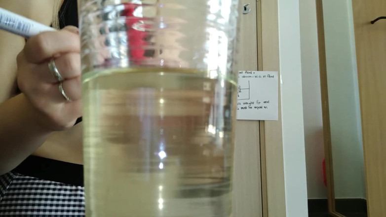 RavenBigAss: Hairy pussy teacher explains the princi-pee of Archimede