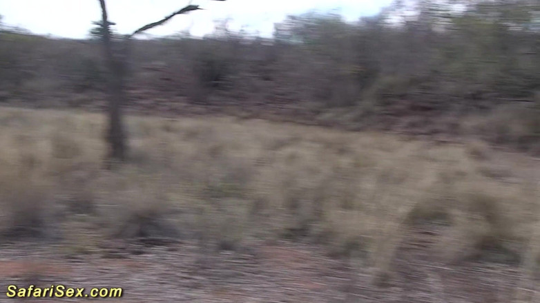 Safari sex: 非洲家庭主妇被性游客粗暴抽插