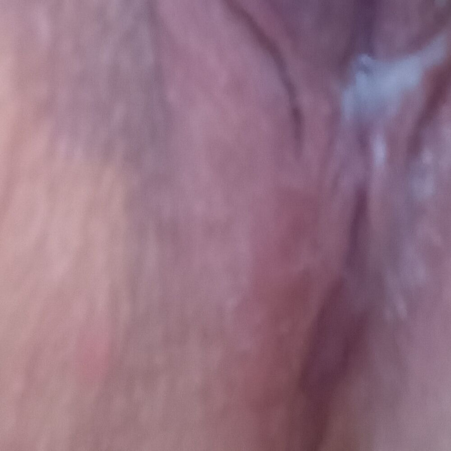Faphouse