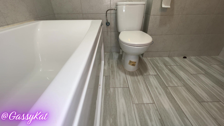 GassyKat: 每日厕所第22集