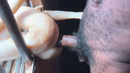 Bangcum8: The Prisoner Cum Hard Needed to Help Cum More