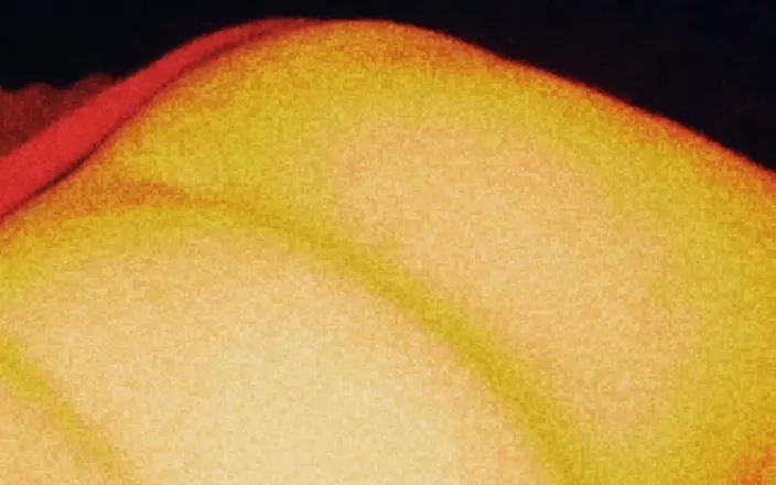 LymalX: Orange Sexy Butt Dream