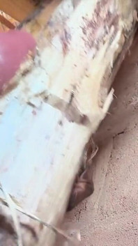 我的监狱房间里的屁股非常甜美