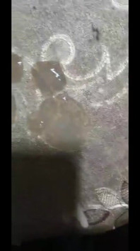 Arab Dick Big Cock From Morocco