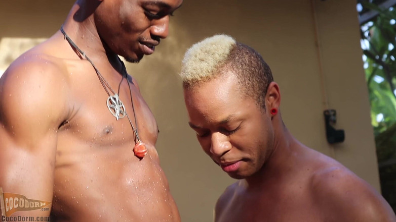 CocoDorm: Calvin Collins + Pupcore - šukej mě v bazénu