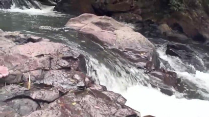 Planet Shemale: Transparadise Vol.3