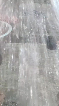 Aceto