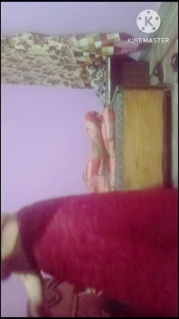 Indian Wear New Saree for Sex