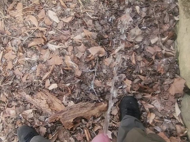 Piss in the Woods (Djk31314)