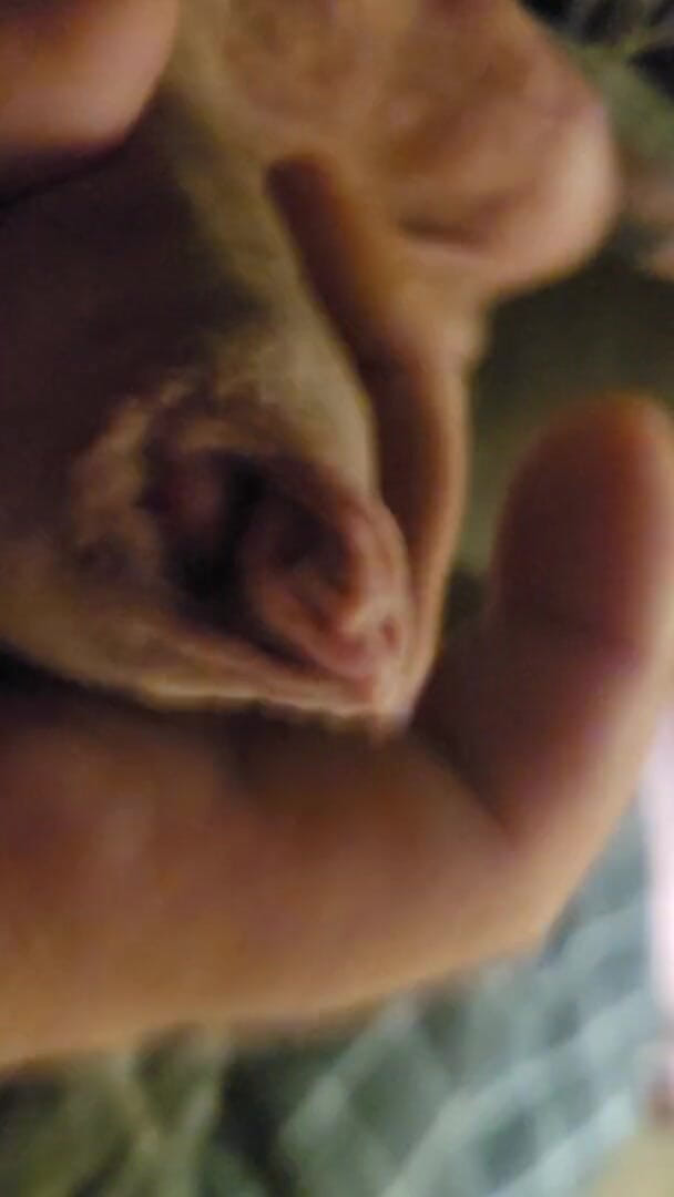 Big dick on: Only for Really Lady's