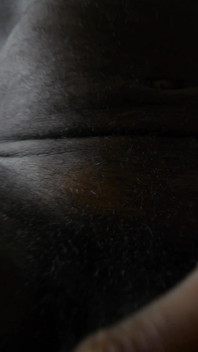 POV Sucking Uncut BBC