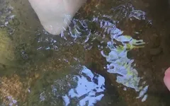 Mais tempo no rio