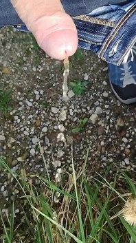 Chcaní a mrdka venku