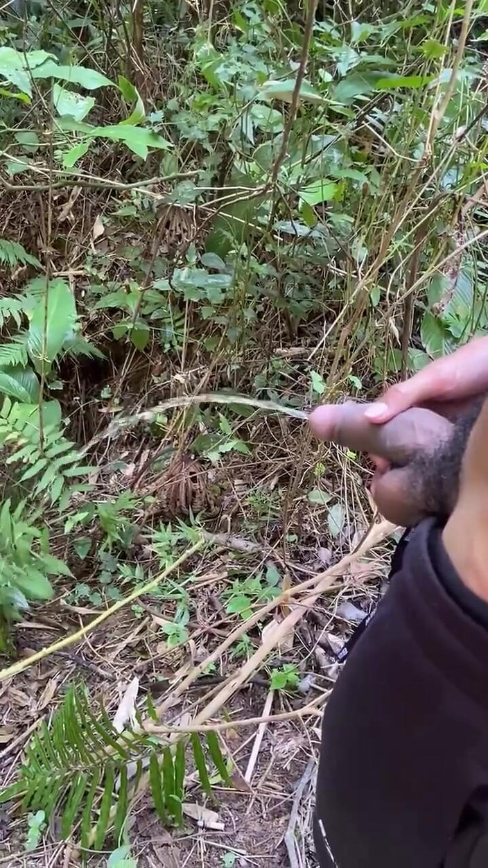 Vida Noite: ट्रेल्स पर जुनूनी पेशाब के साथ पेशाब