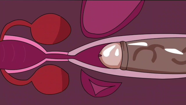 Animate golden: Interne ejaculatie 2 (animatie)