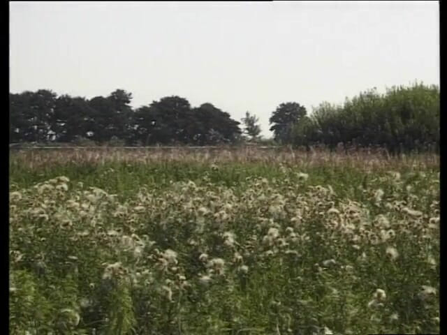 Crispy Teens: Küçük memeli sıska genç kız pembe amında sert yarağı seviyor!