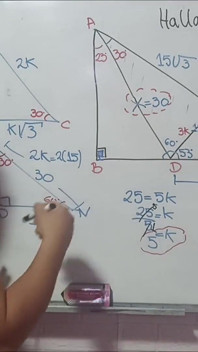 10 Trigonometry Triangles Remarkable Exercises