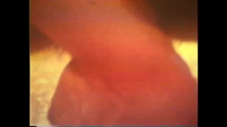 The Unforgettable: Cock Pig And Warmer