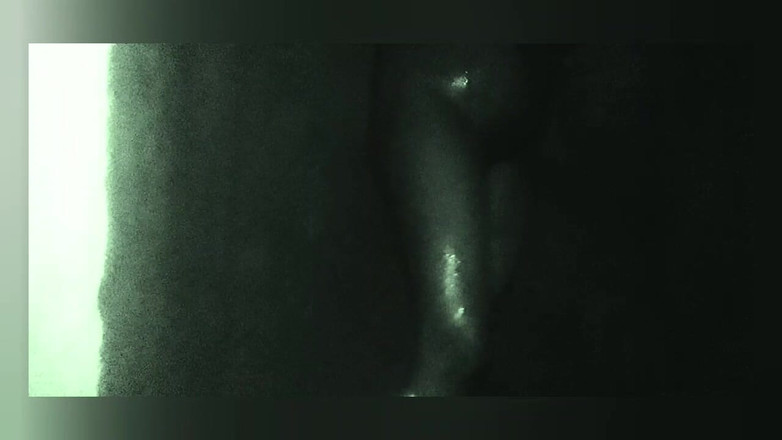 Sweet: Grande rabo indiano quente vídeo fukine
