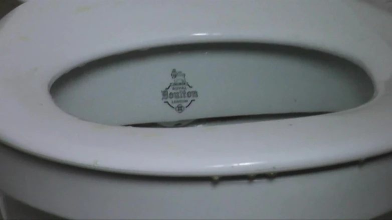 DanielleMaye: Рабыня в туалете