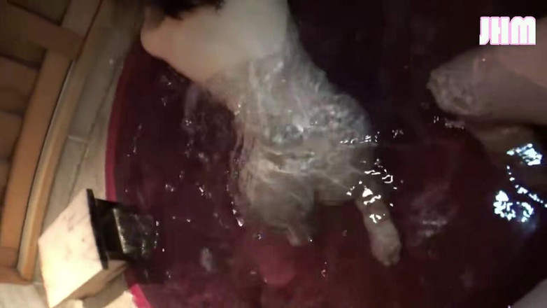 Japanese Hentai Matings: 미미카와 함께하는 사진 여행 - 2