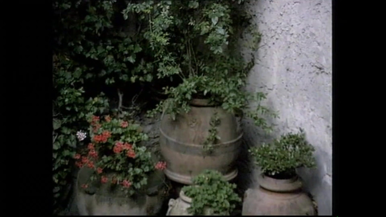 PURZEL TV - our best full movie: Il Pianista E Le Sue Voglie