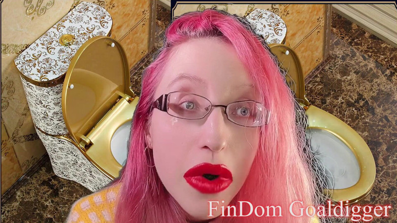 FinDom Goaldigger: Transformacja sługi toalety!
