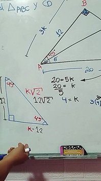 12 Trigoometry: Segitiga Terkemuka