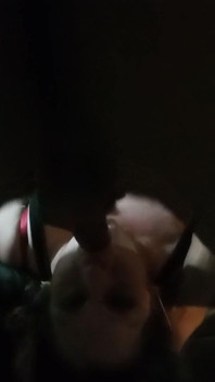 Usa Pornstars Going All Out on Cam Caught Fucking Red Handed