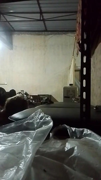 Ibu Tiriku Sange Ngajak Ngentot Di Ruangan