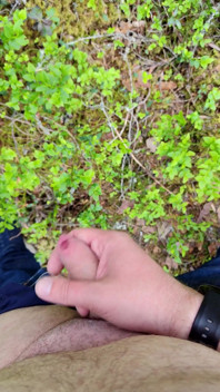 Arrapata nella foresta