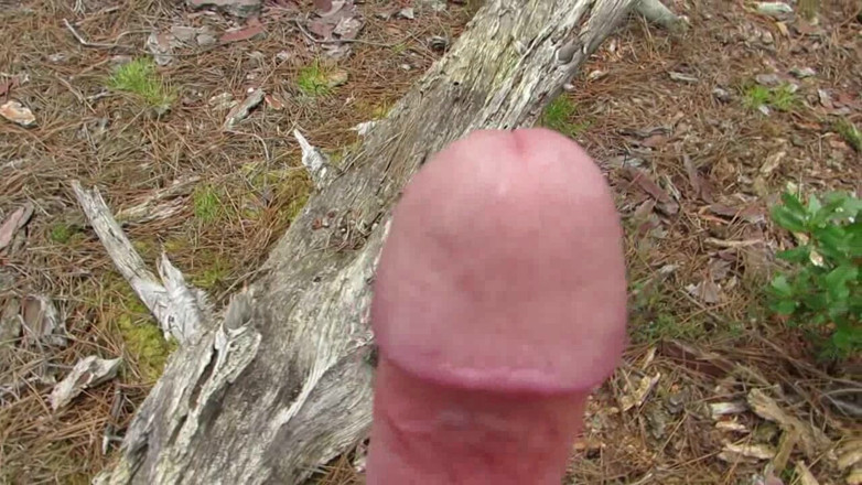 Littleschorschi: Naked Boner Walk in Public Forest Part 6