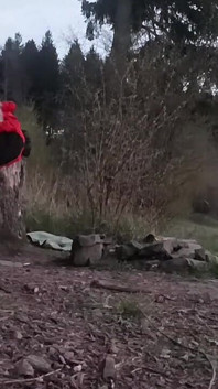 Голий на лузі