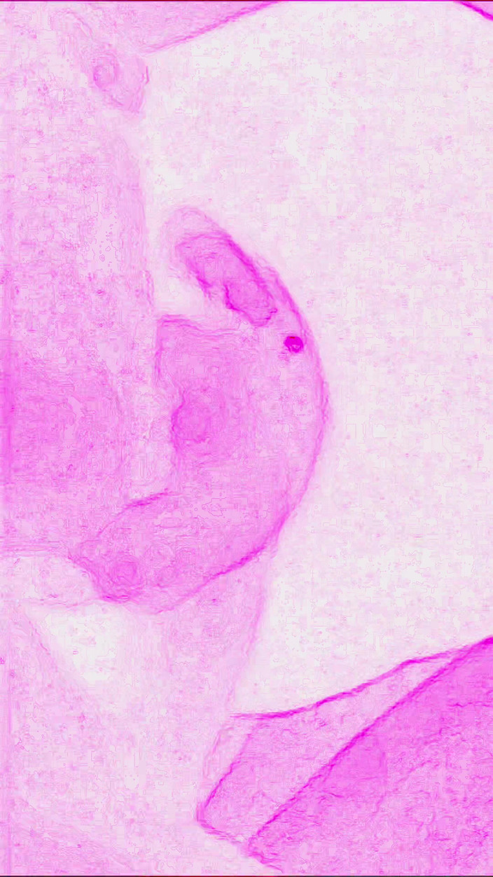 Lily & Theo: Сексуальна зустріч про радість, настільки інтенсивна і дика, що важко описати словами.