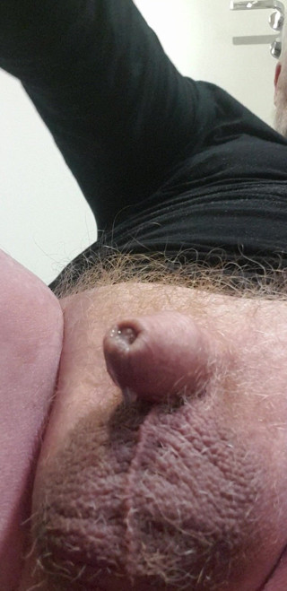 Redhairy4u: Toy in Ass, Small Cock Masturbation