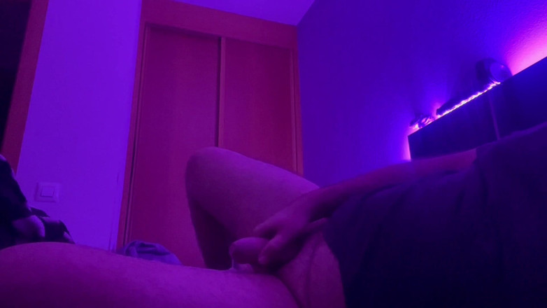 The newhere: Ein Bär im Bett kommt