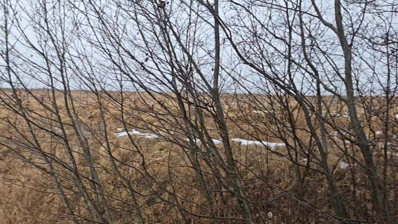 Alpha pee king: Un Po' Rischioso Pipì - POV Pipì All'aperto Durante Una Passeggiata...