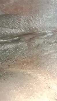 by bhabhi sex