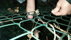 Idmir Sugary: Blízkovýchodní Twink stříká přes plot - Šuká plot venku !!